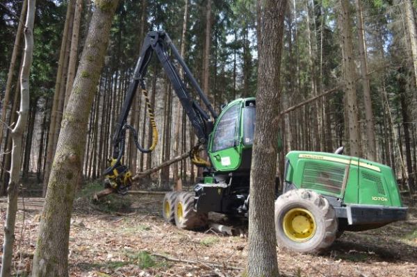 Ilustračn&eacute; foto: Peter Gogola 