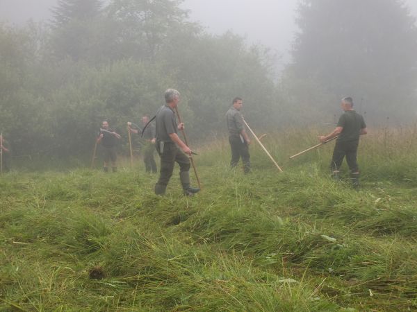 Lesníci ručne pokosia chránený prírodný areál