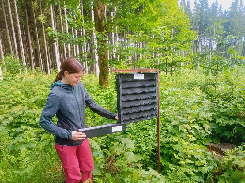 Stážistka z Francúzska 
