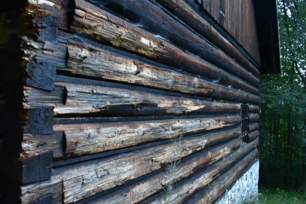 Po n&aacute;v&scaron;tev&aacute;ch medveďov na chate pod Poľanou 