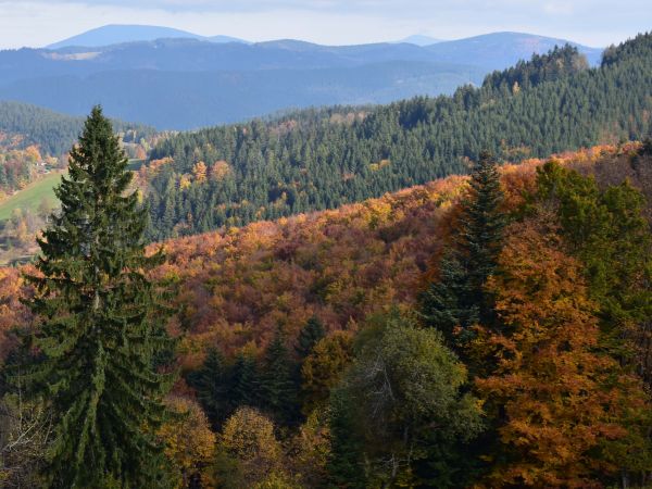 Ilustračné foto: Jozef Marko 