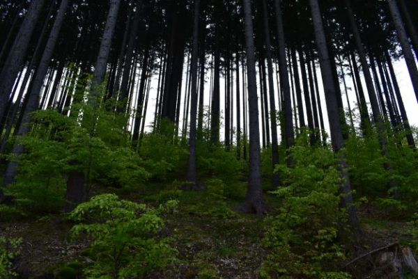 Ilustračn&eacute; foto Jozef Marko