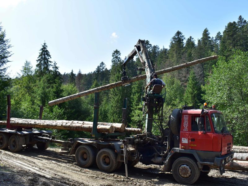 Ilustračné foto: Jozef Marko 