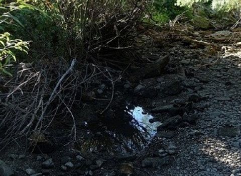 Barina v Rajeckej doline 