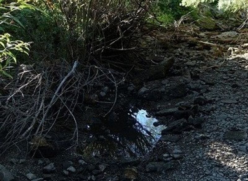 Barina v Rajeckej doline 