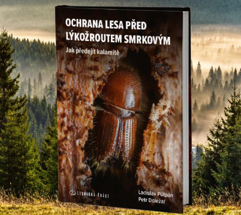 Zdroj: Internetová stránka Lesy ČR