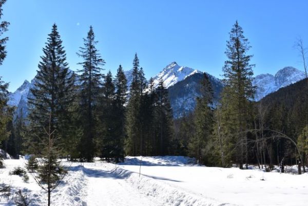 Bielovodská dolina v Tatranskom národnom parku 