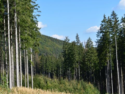 Ilustračné foto: Jozef Marko 