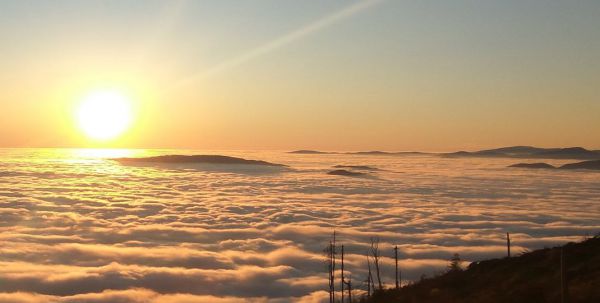 Komentovan&yacute; z&aacute;ber z Koh&uacute;ta