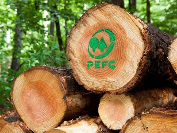 Logo PEFC bezplatne