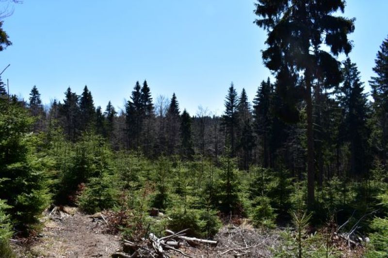 Ilustračné foto Jozef Marko