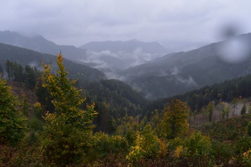Lesy obhospodarované lesníkmi v Národnom parku Nízke Tatry