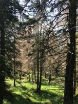 Ilustračn&eacute; foto Peter Staroň