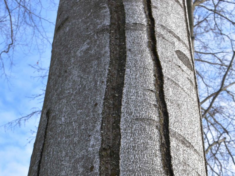 Ilustračn&eacute; foto: Jozef Marko 