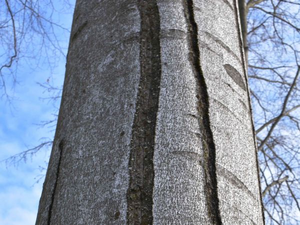 Ilustračn&eacute; foto: Jozef Marko 