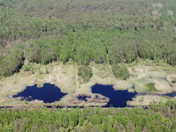 Prírodná rezervácia Borkovická blata 