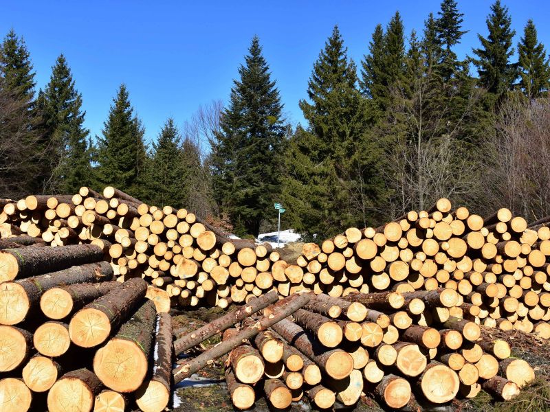 Ilustračn&eacute; foto: Jozef Marko 