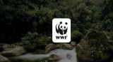 WWF vydalo spr&aacute;vu o stave plan&eacute;ty