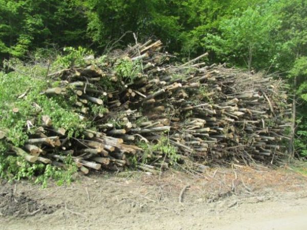 Drevn&aacute; hmota pripraven&aacute; na zo&scaron;tiepkovanie 