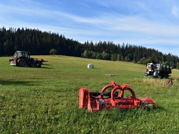 Ilustračné foto: Jozef Marko 