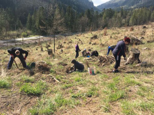 Ilustračn&eacute; foto: arch&iacute;v Lesmedium.sk