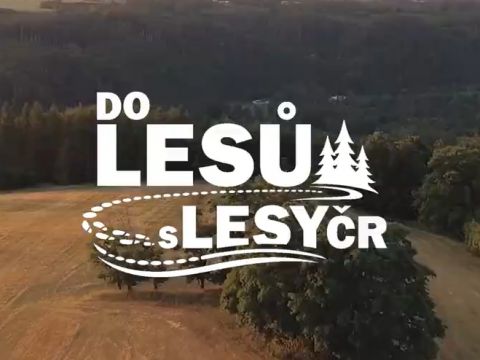 Zdroj: Internetová stránka Lesy ČR