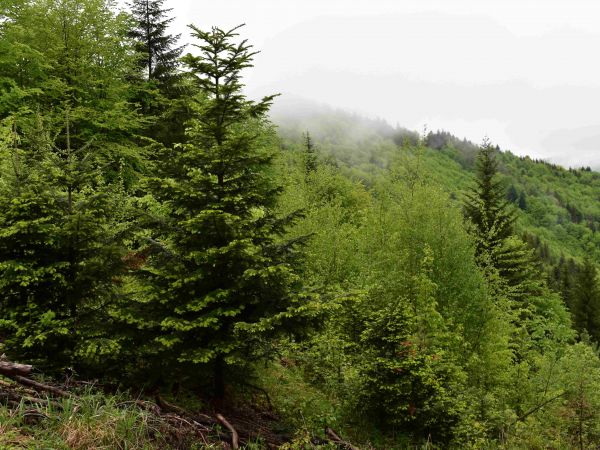 Ilustračné foto: Jozef Marko 