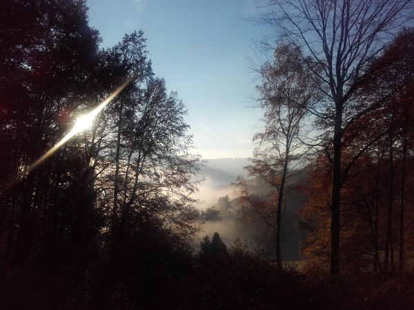 Ilustračné foto: archív Lesmedium.sk