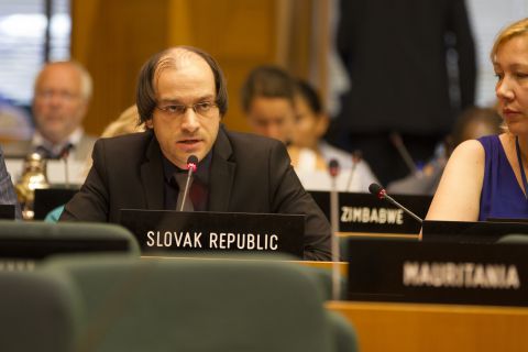 Boris Greguška v OSN 