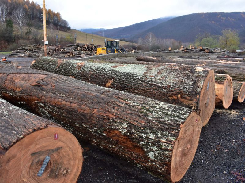 Ilustračné foto: Jozef Marko 