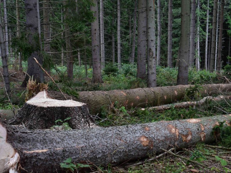 Ilustračné foto: Jozef Marko 