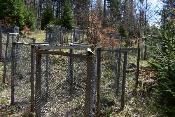 Lesníci takto chránia sadenice na Muránskej planine