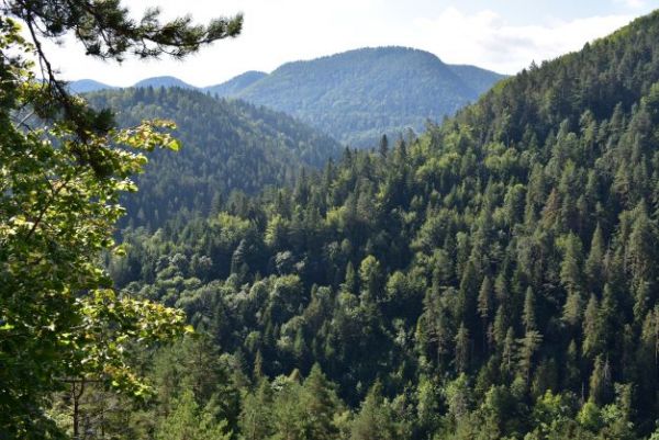 Ilustračn&eacute; foto Jozef Marko