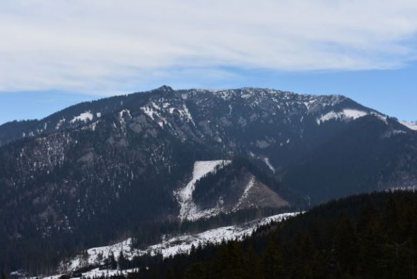 Masív Krakovej hole v Národnom parku Nízke Tatry je tiež miestom častého výskytu medveďov 