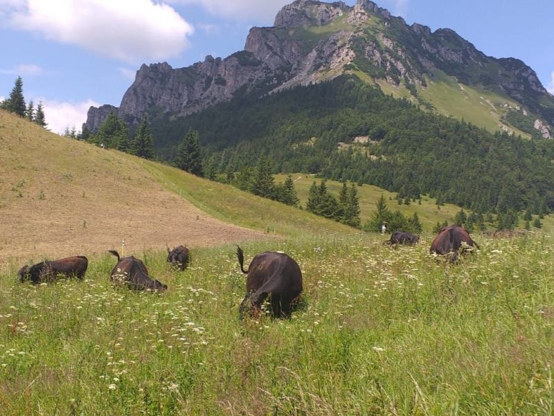 Zdroj: FB str&aacute;nka &Uacute;RZVNLS