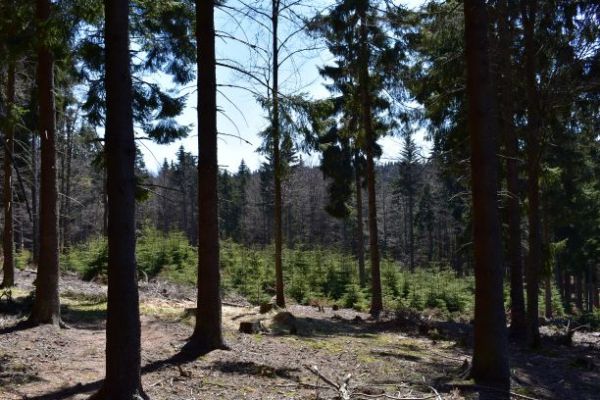 Ilustračn&eacute; foto Jozef Marko