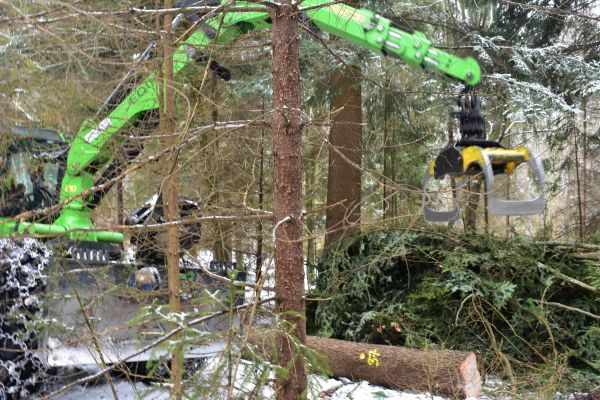 Ilustračn&eacute; foto: Jozef Marko 