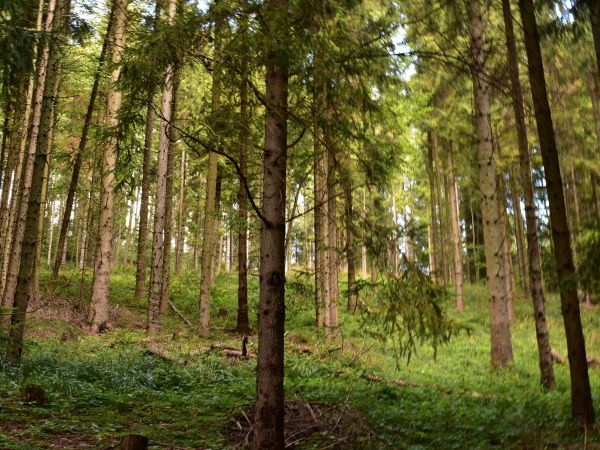 Ilustračné foto: Jozef Marko 