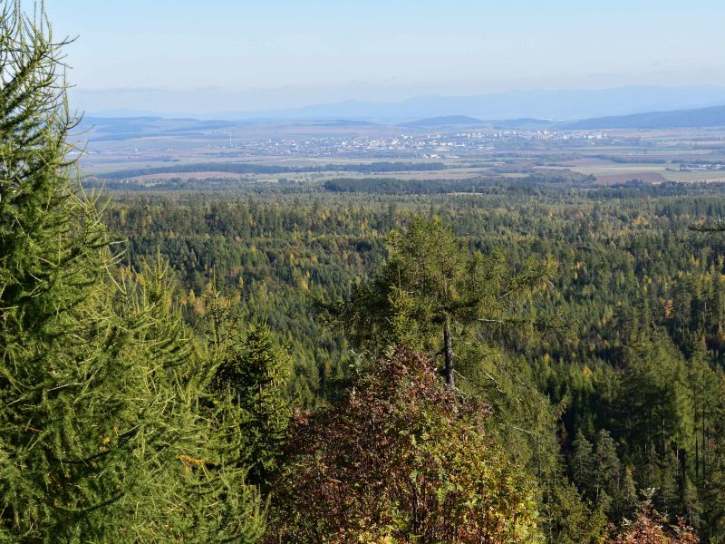 Rozsiahle plochy obnoven&yacute;ch a vychov&aacute;van&yacute;ch kalamitn&yacute;ch pl&ocirc;ch v tatr&aacute;ch 
