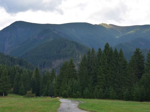 Cesta do porastov na začiatku Bobroveckej doliny 