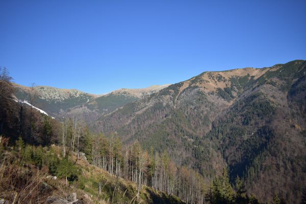 Pohľad na Nízke Tatry z Bystrej doliny 