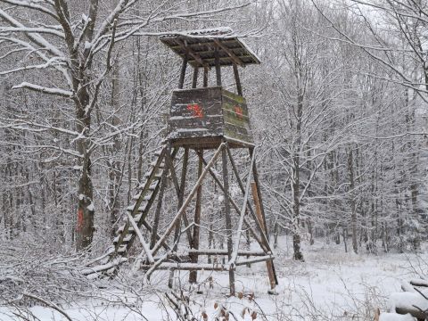 Ilustračné foto: Ing. Róbert Gombárik