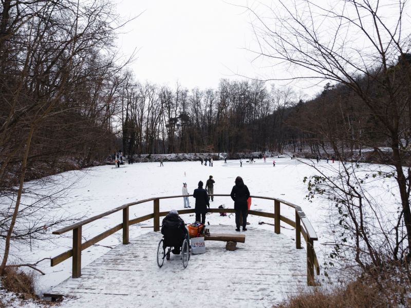Zdroj: FB str&aacute;nka Mestsk&eacute; lesy v Bratislave 
