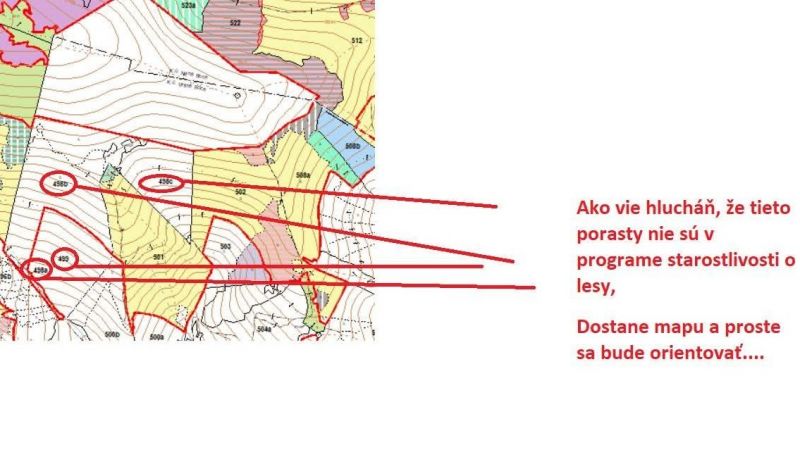 Glosa: Ochranárske zlyhania a lesníci, podávajúci bičík – len si udrite!