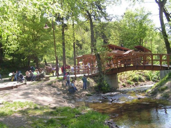 Rekre&aacute;cia v Mestsk&yacute;ch lesov v Bratislave 