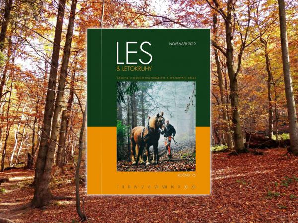 LES &amp; Letokruhy NOVEMBER 2019