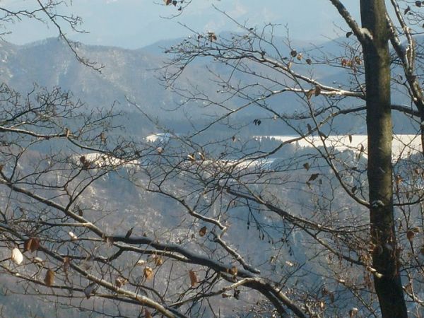 Ilustračné foto: archív Lesmedium.sk 