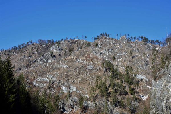 Lokalita Kolomaznička 