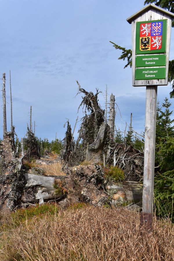 Národný park Šumava na hranici Českej republiky a Nemecka