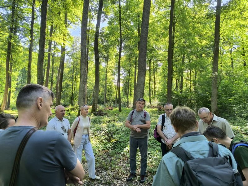 Zdroj: FB stránka Národného lesníckeho centra
